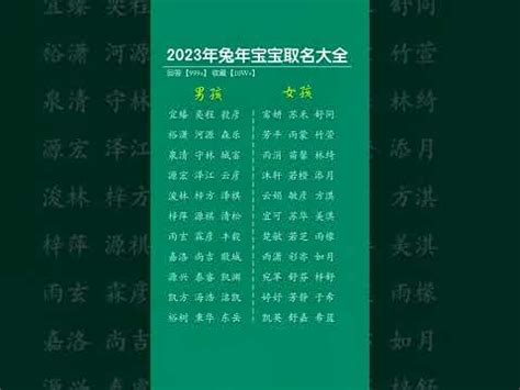 2023水兔寶寶|【2023水兔寶寶】2023年福氣滿滿水兔報到！必收藏的水兔寶寶。